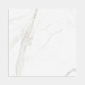 Calacatta Gold 600x600