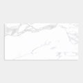 ST6397 Duraglaze Gloss Tile 300x600