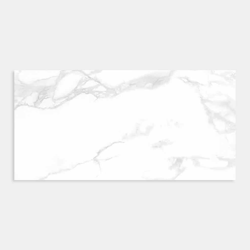ST6397 Duraglaze Gloss Tile 300x600