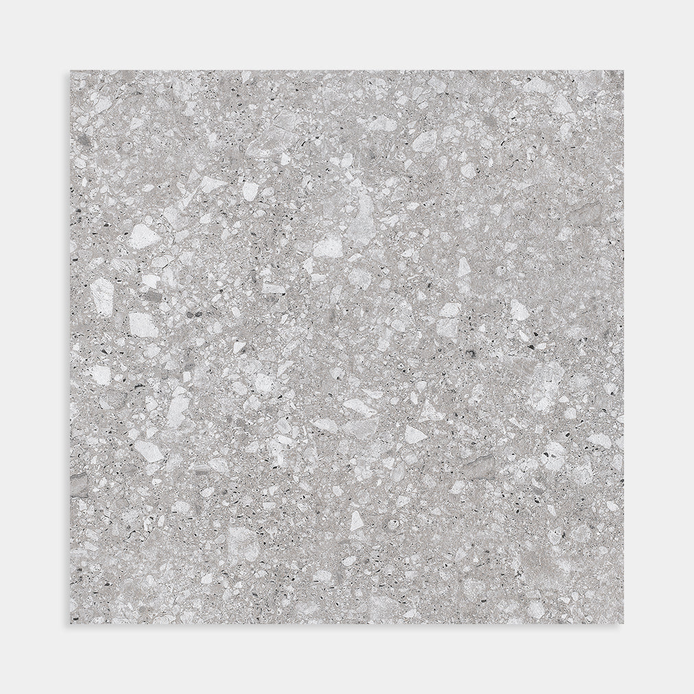 Terrazzo Coal Matt 600x600