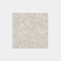 Terrazzo Beige Matt 300x300
