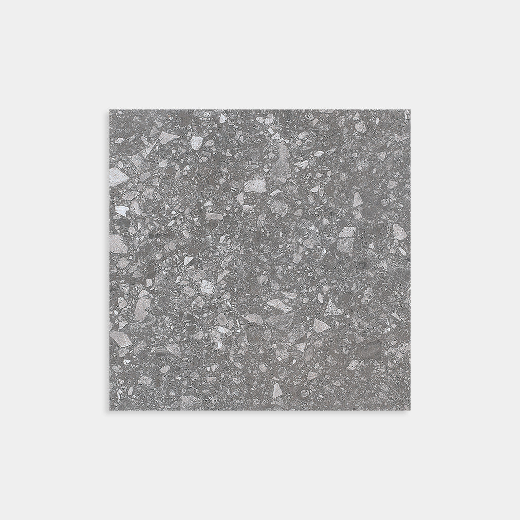Terrazzo Coal Matt 600x600