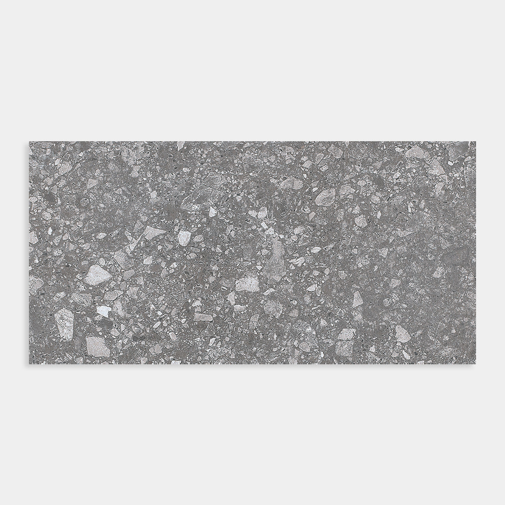 Terrazzo Coal Matt 600x600
