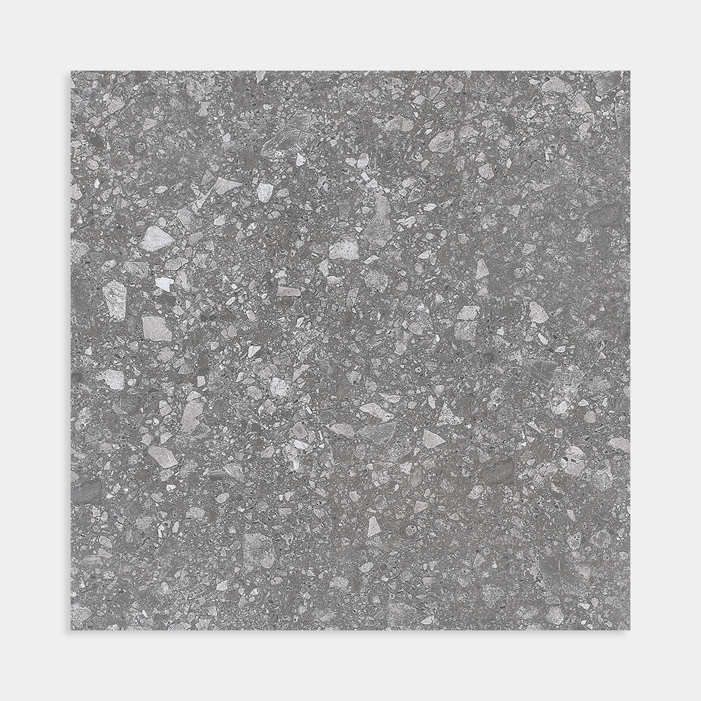 Terrazzo Coal Matt 600x600