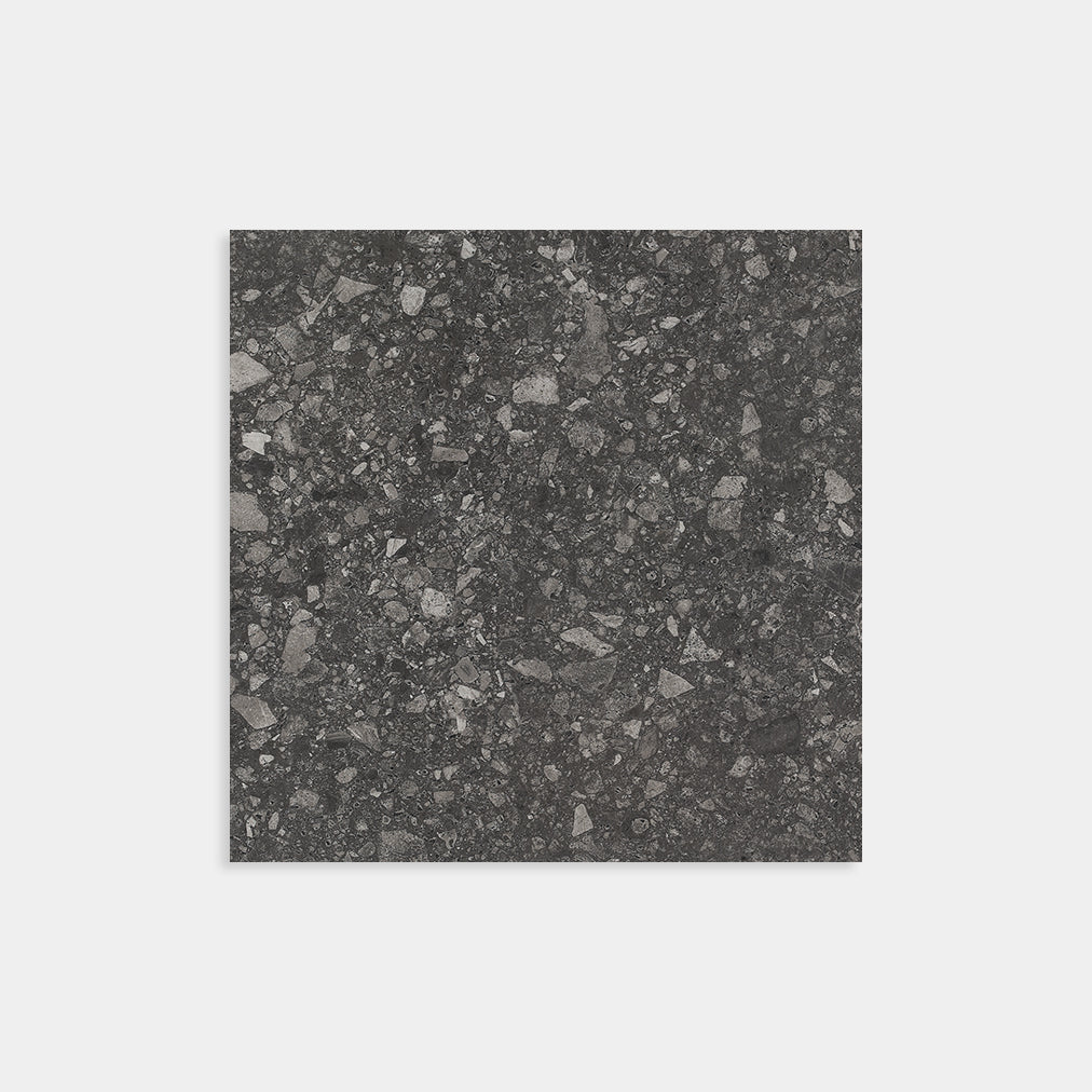 Terrazzo Coal Matt 600x600
