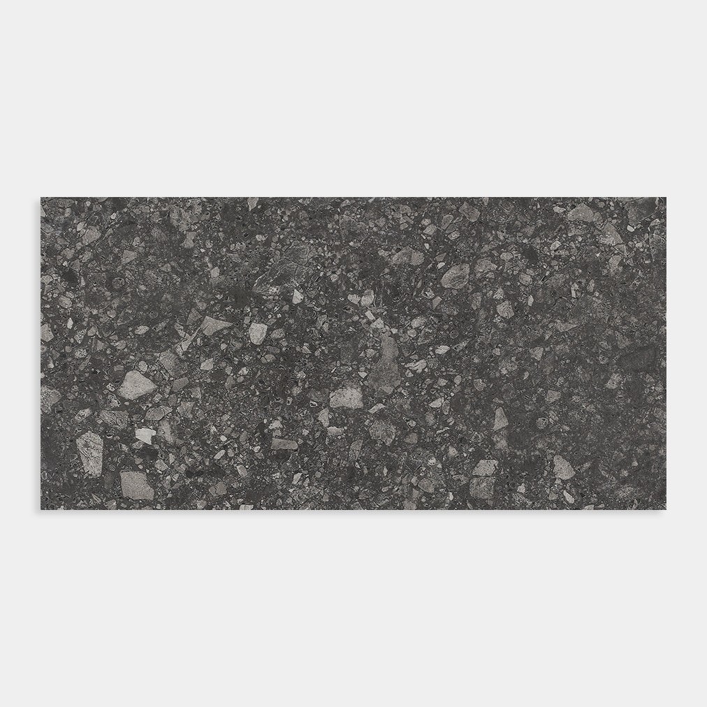 Terrazzo Coal Matt 600x600