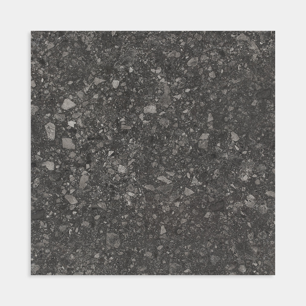 Terrazzo Coal Matt 600x600