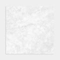 Tivoli Bianco Matt 600x600